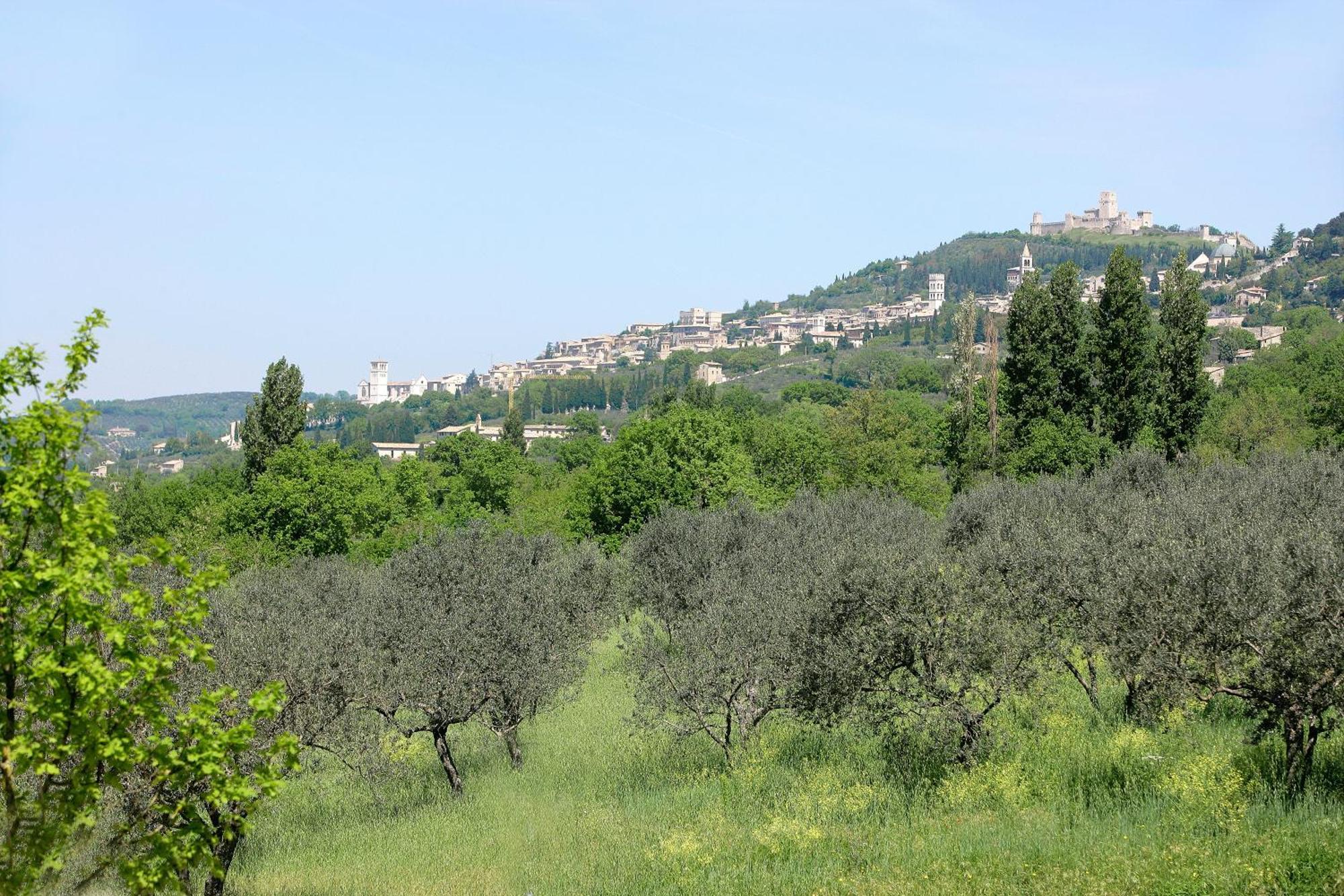 Country House Poggio Fiorito Assisi Exteriör bild